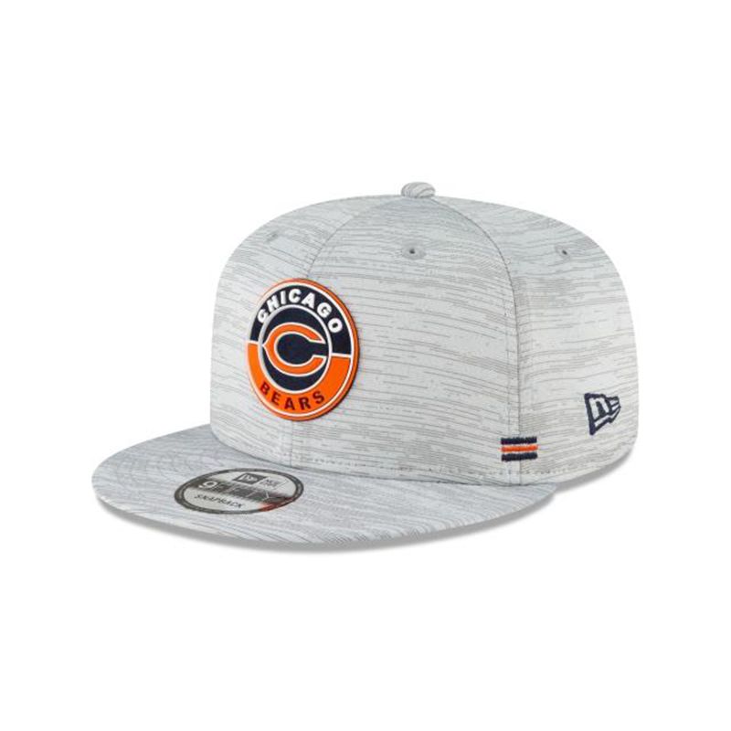 NFL Chicago Bears Official Fall Sideline 9Fifty Snapback (OIX5994) - Grey New Era Caps